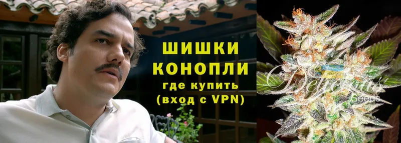 Марихуана OG Kush  как найти наркотики  Гдов 